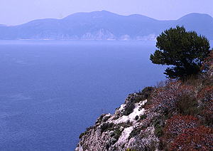 LEICA R8, ELMARIT-R 2,8/90